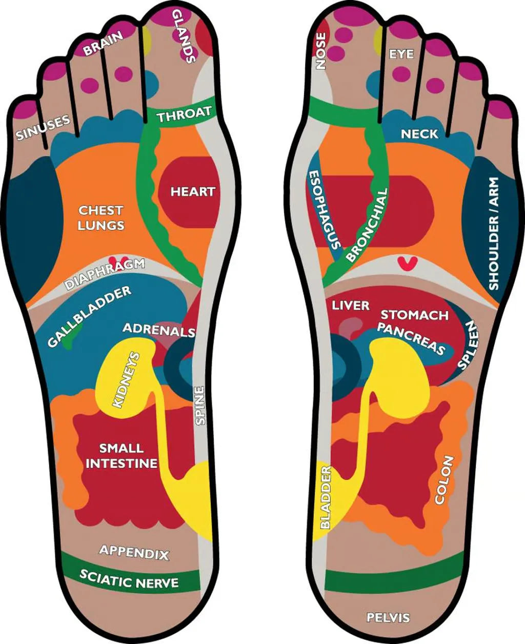 Detox Foot Pads Kiyome Kinoki | Pain-Free Cleansing Pads for Toxin Removal